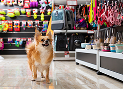 Increasing Profits Pet Supplies Pound Wholesale