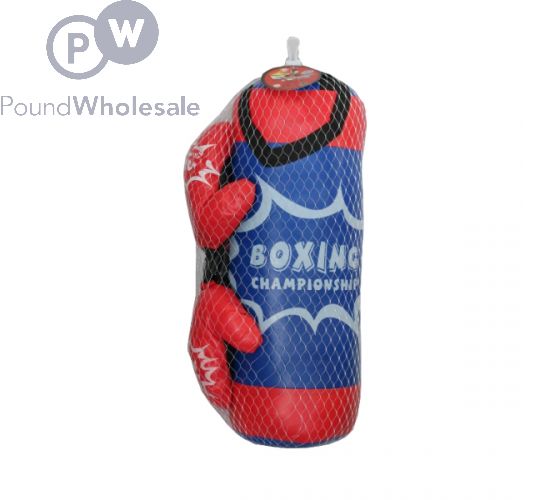 Punch Bag & Gloves