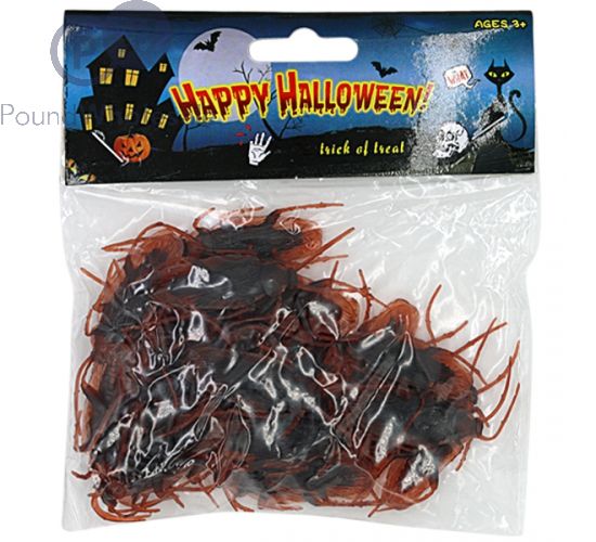 HALLOWEEN CREEPY COCKROACHES