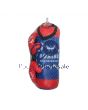 Punch Bag & Gloves