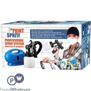 Professional Paint Spray System