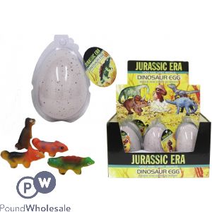 Large Dinosaur Egg In Display Box