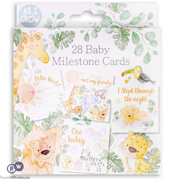 Hugs & Kisses Baby Milestone Moment Cards 28 Pack