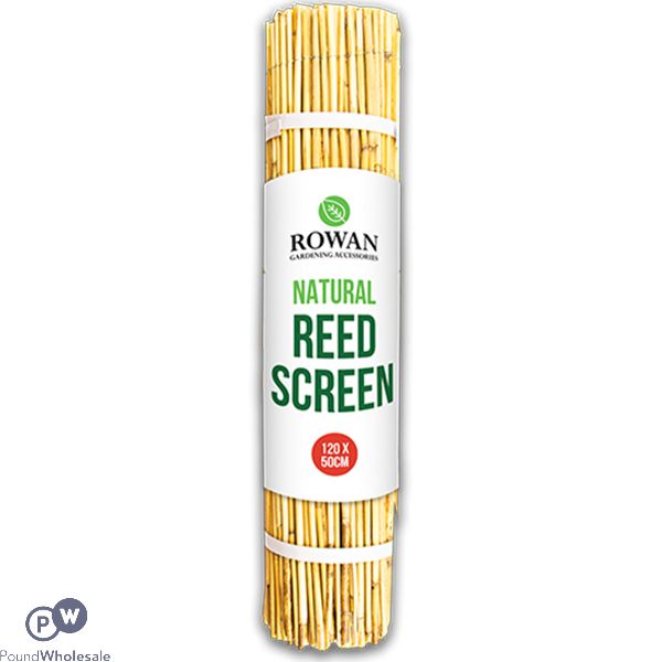 Rowan Natural Wood Reed Screen 120cm X 50cm