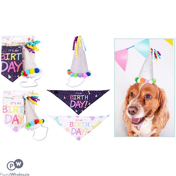 Smart Choice Bandanna & Party Hat For Dogs Set Assorted