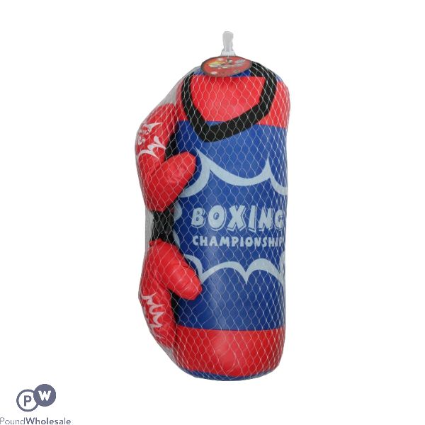 Punch Bag & Gloves