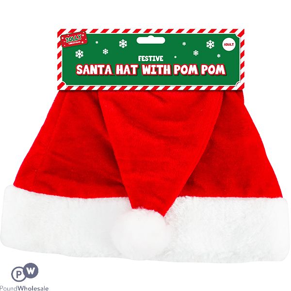 Christmas Adult Santa Hat