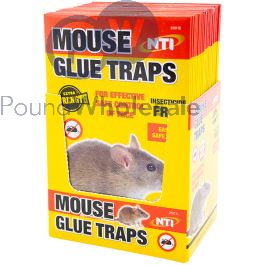 Wholesale Extra Strength Mouse Glue Traps Cdu | Pound Wholesale