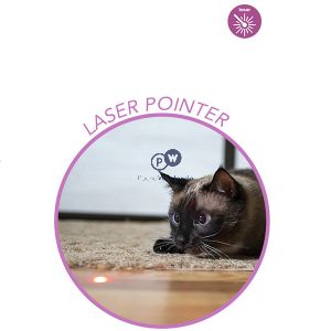 Smart Choice Laser Pointer Interactive Chaser Cat Toy